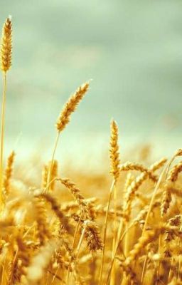 "Мы были репетицией, перед действием".