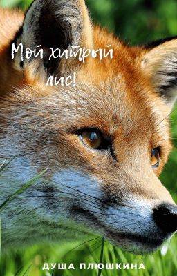 Мой хитрый лис