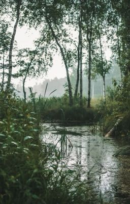 Пустые мечты 