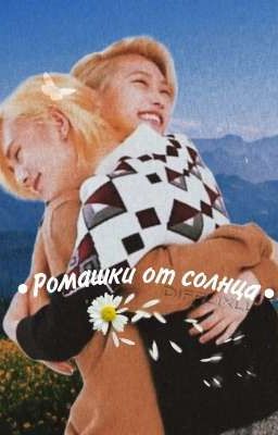 •Ромашки от солнца•