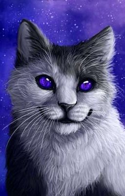 Мои персонажи