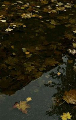 Долгожданная встреча ෆ