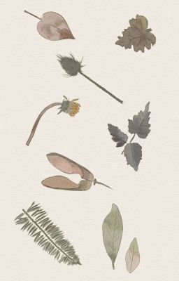 Услышишь ли ты мою историю, незнакомец?