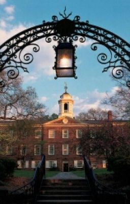 Необычная школа