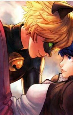 Котик в гостях