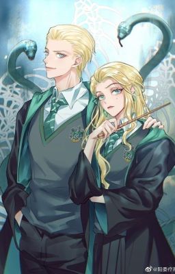 Мисс Малфой