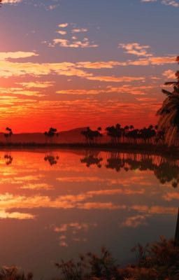 Реальность началась с виртуальности 