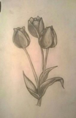 Следуйте знакам судьбы