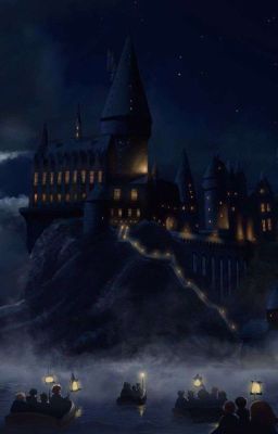 Двойняшка Поттера