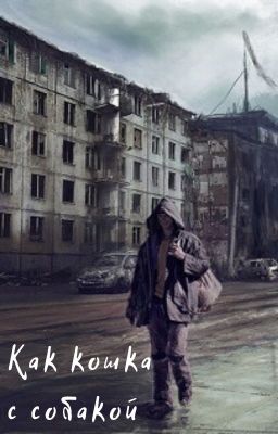 Как кошка с собакой