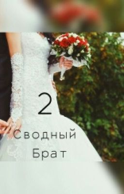 Сводный Брат 2
