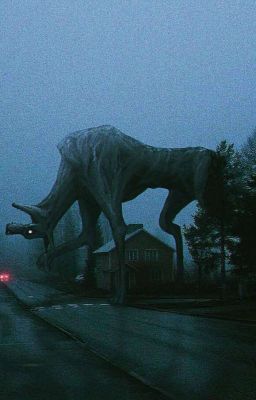 Фантастические твари и где они обитают.