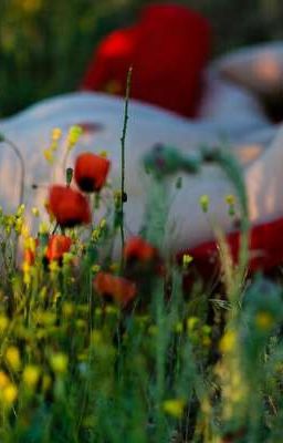 Цветы любви