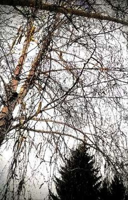 Ненависть не для влюблённых💔