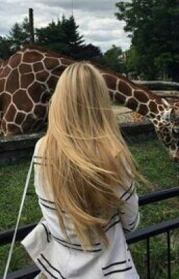 Вечные Звезды