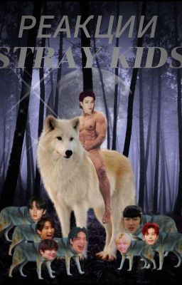 Реакции Stray Kids( ͡° ͜ʖ ͡°) [ЗАМОРОЖЕНО]