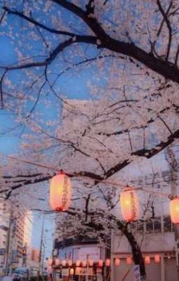 Моя новая жизнь