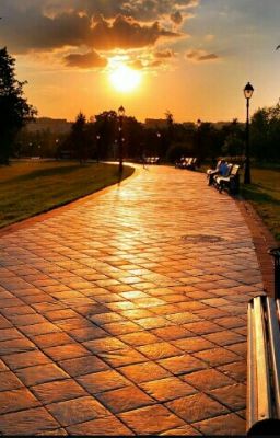 The Evening Of August