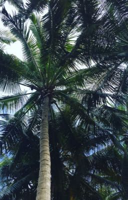 (1)Ищу приключения на...