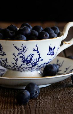 Гонобобель