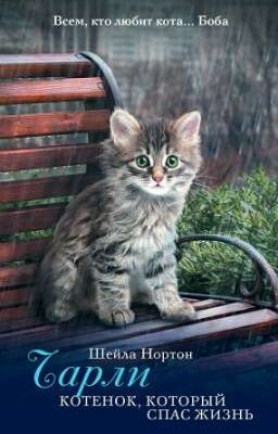 Чарли. Котенок, который спас жизнь