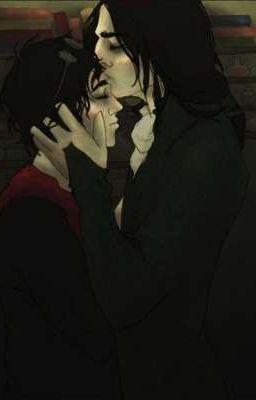 Прости, Гарри