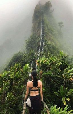 I choose luxury life! ●Заморожен●