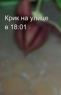 Крик на улице в 18:01