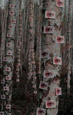 мир глазами их