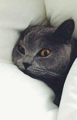 Дерзкая малышка