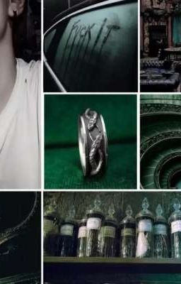 Наследница Блэков